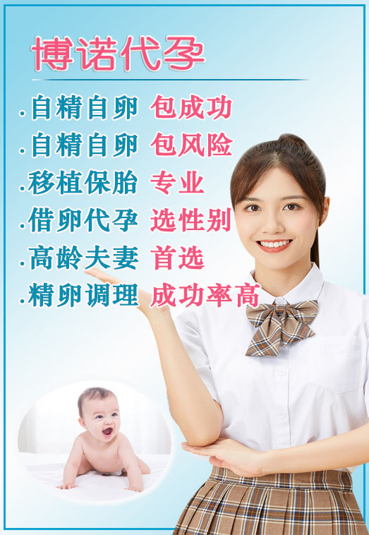 德国借卵