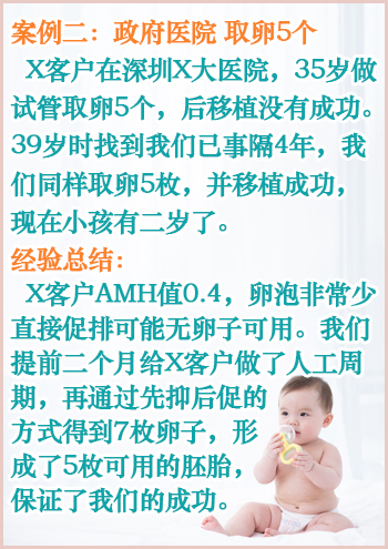 德国借卵成功率